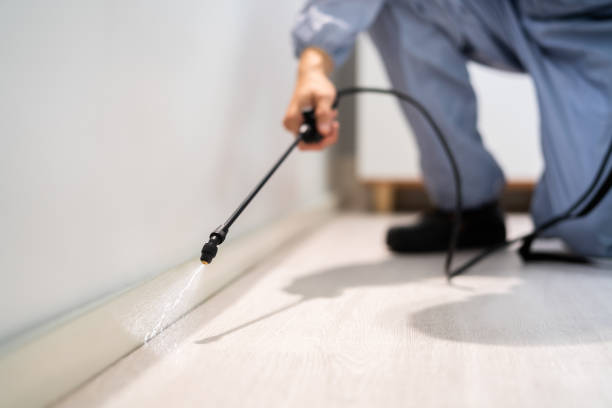Licensed Termite Control service in Fitzgerald, GA - Nex Pest Control