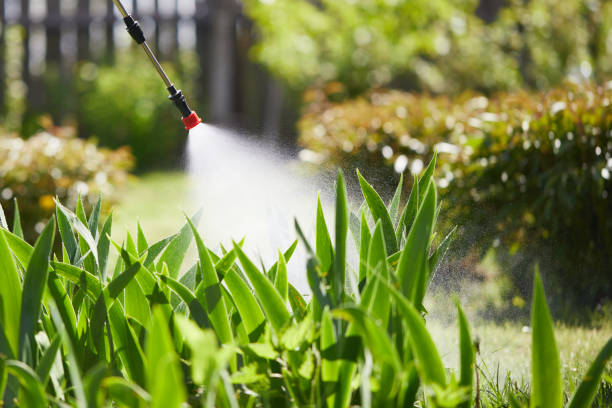 24/7 Emergency Termite Control experts in Fitzgerald, GA