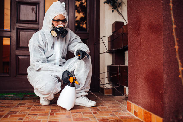 Reliable Termite Control contractor in Fitzgerald, GA by Nex Pest Control