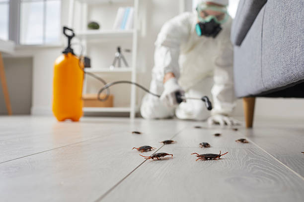 Affordable Termite Control solutions in Fitzgerald, GA