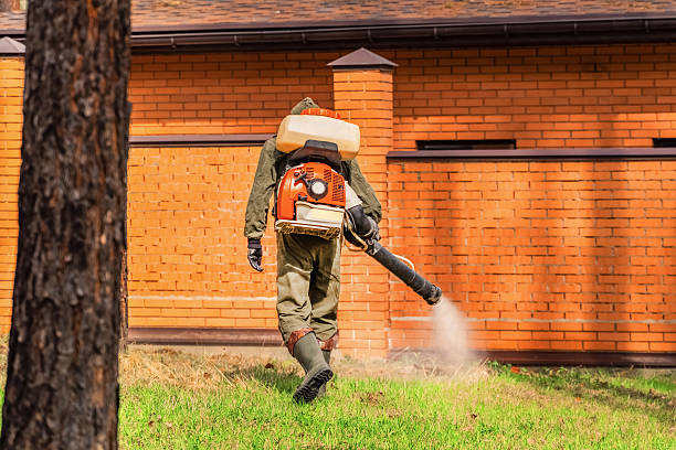 Top rated local Termite Control specialists in Fitzgerald, GA